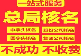 集团公司核名