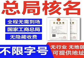 股份公司核名